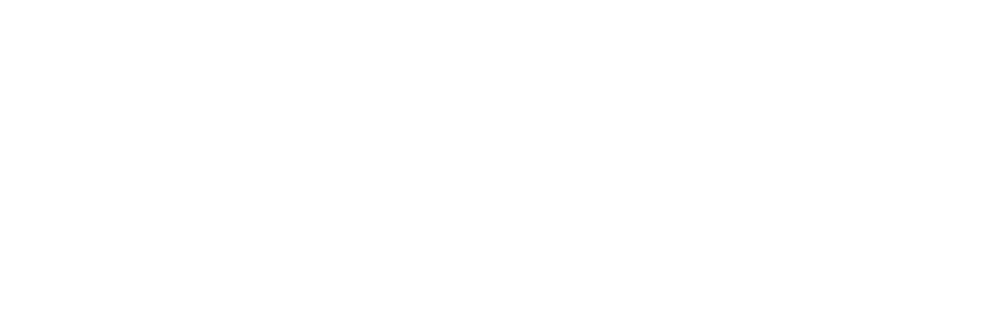 LOGO-VISA
